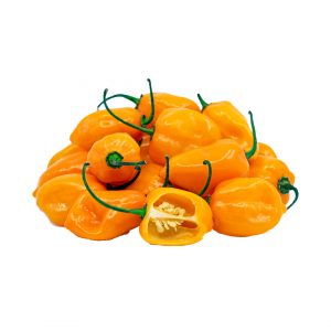 Pepper - Yellow Rodo - Half Paint 600g
