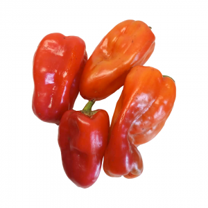 Pepper - Tatashe - 300g 1/4 Paint