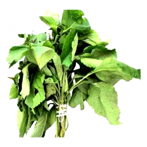 Scent Leaf - per wrap