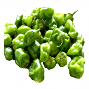 Green Scotch Bonnet - 500g (half paint)