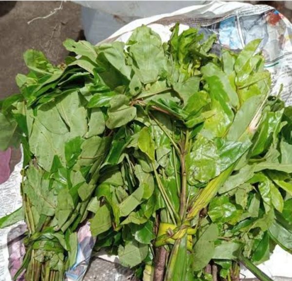 Oha Leaf - per wrap