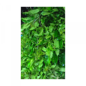 Ugu Leaves Big Farmer bunch