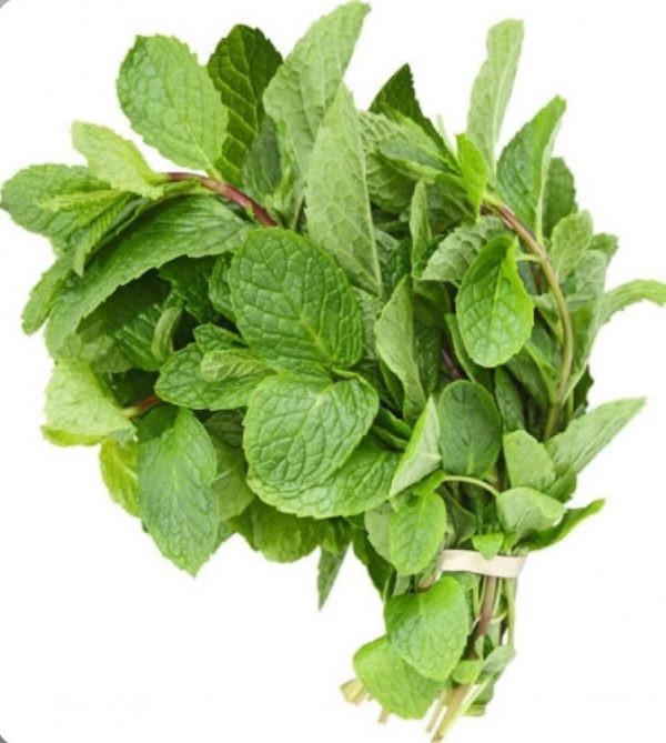 Mint Leaf - Wrap