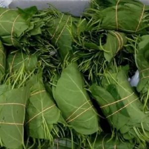 Utazi Leaf (Bush Buck) - per wrap