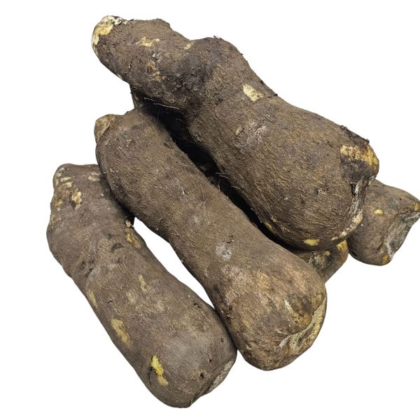 Yam Tuber - Large (1 tuber)