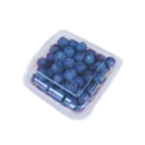 Blueberry Fruit - Pack