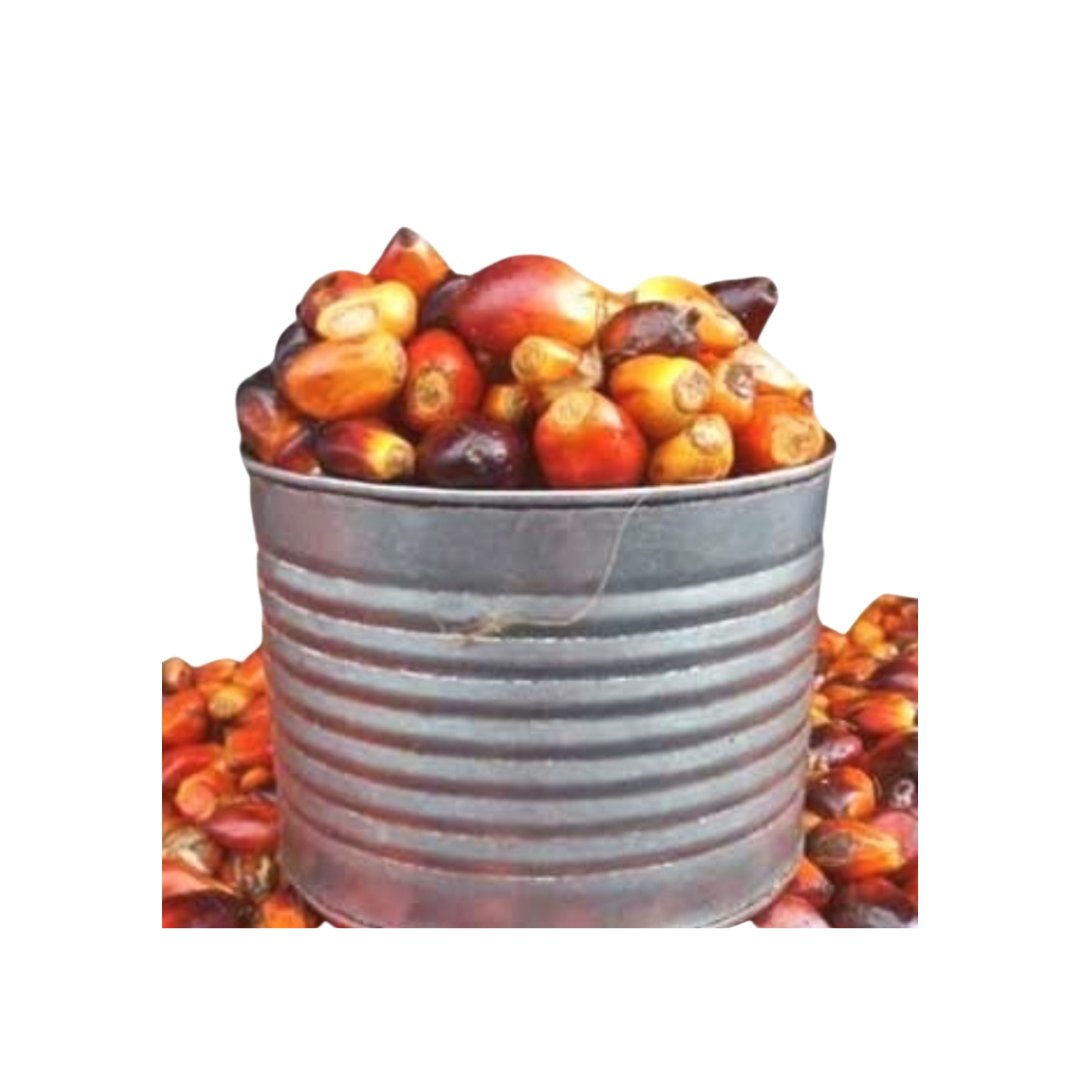 Palm Fruits - Derica