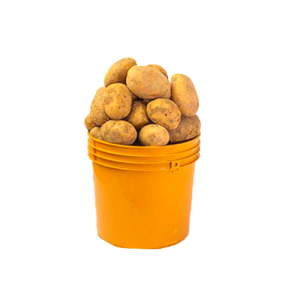 Irish Potatoes – Half Paint Bucket (1.5kg)