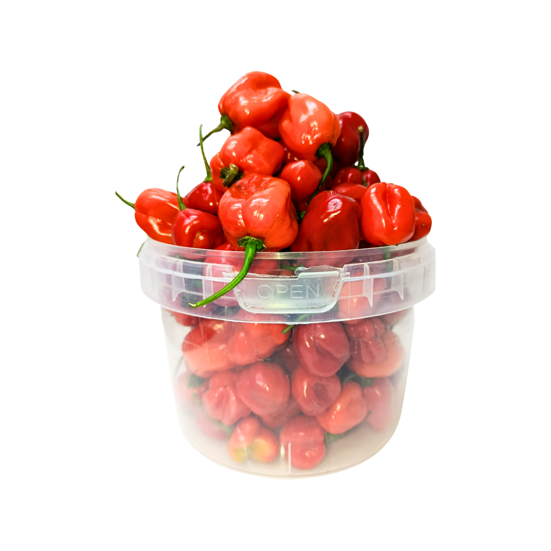Pepper - Ata Rodo - Half Bucket 600g