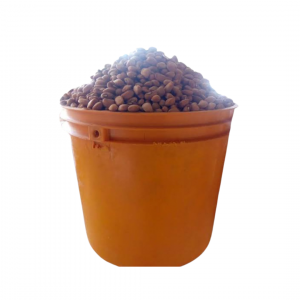 Honey Beans - 3.5kg Paint Bucket