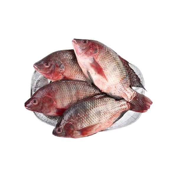 Tilapia Fish Med - Per kg
