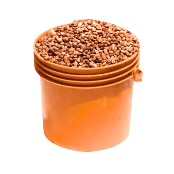 Drum Beans (olotu) - paint