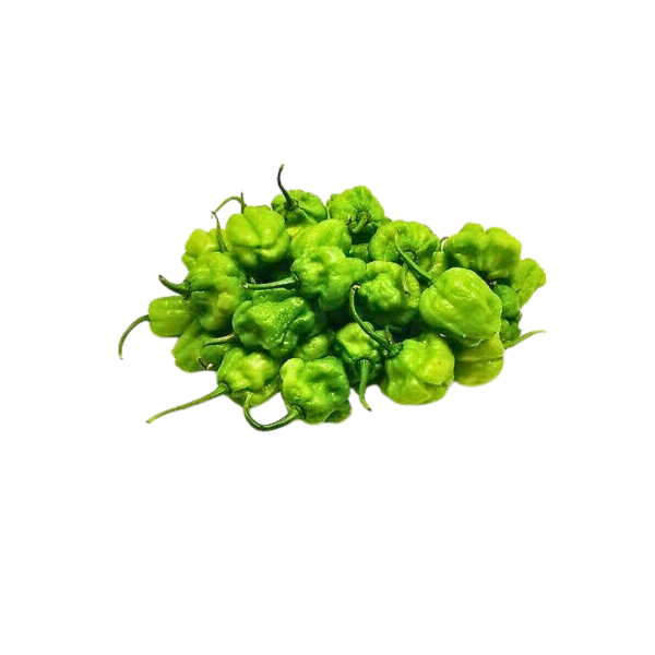 Pepper - Green Ata Rodo - 1kg