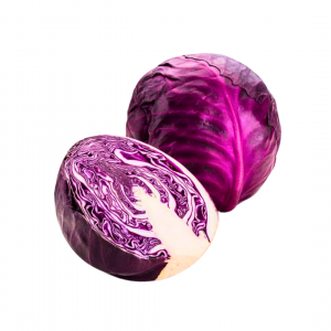 Purple Cabbage