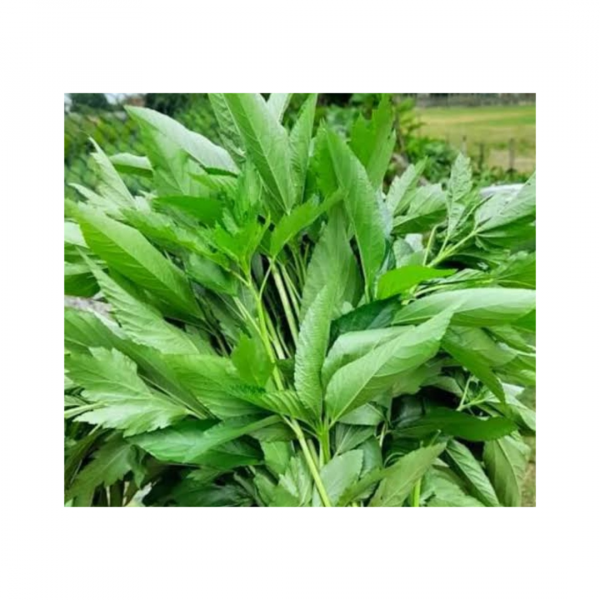 Ewedu - Farmers Big Bunch 600g