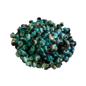 Periwinkle - Derica
