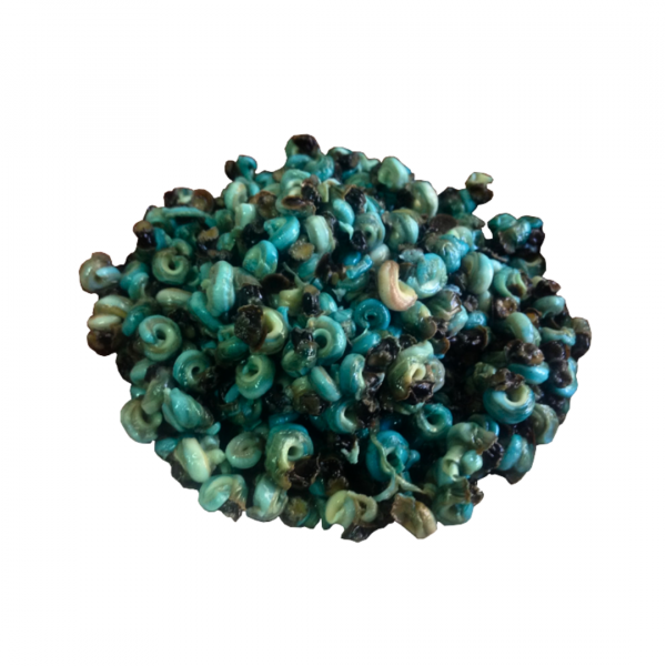 Periwinkle - Derica
