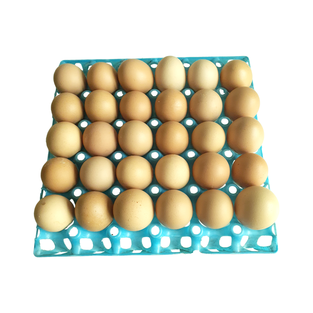 Crate Of Eggs ShopOnClick