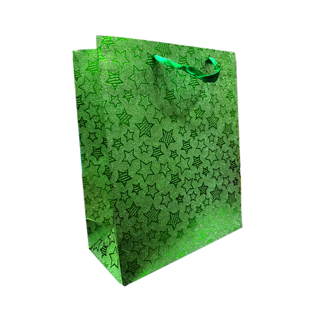 Gift Bag Green, Medium ShopOnClick